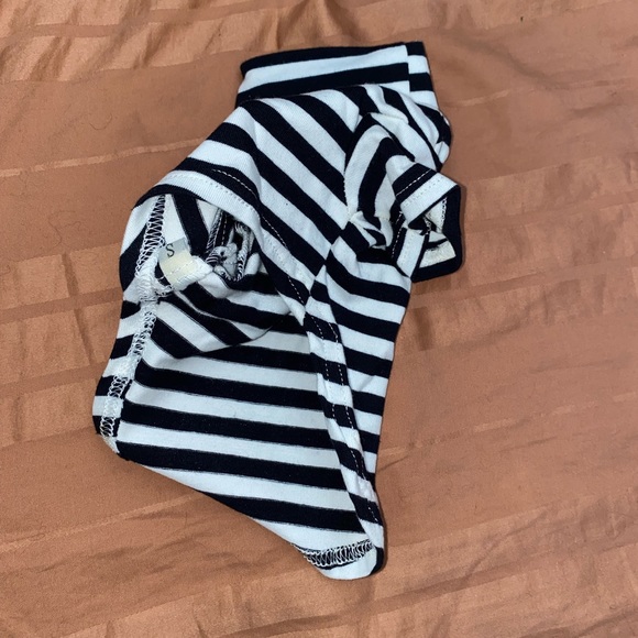 The Modern Pup Stripes - Picture 2 of 5